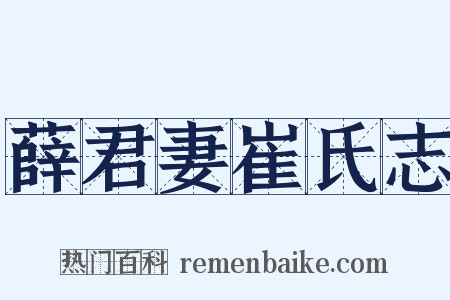 薛君妻崔氏志是什么意思的图片